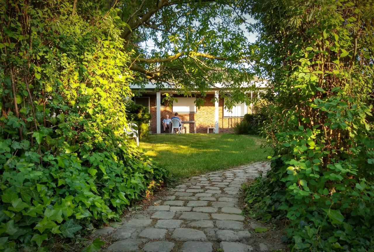 De Zilveren Helm Halen Exteriér fotografie